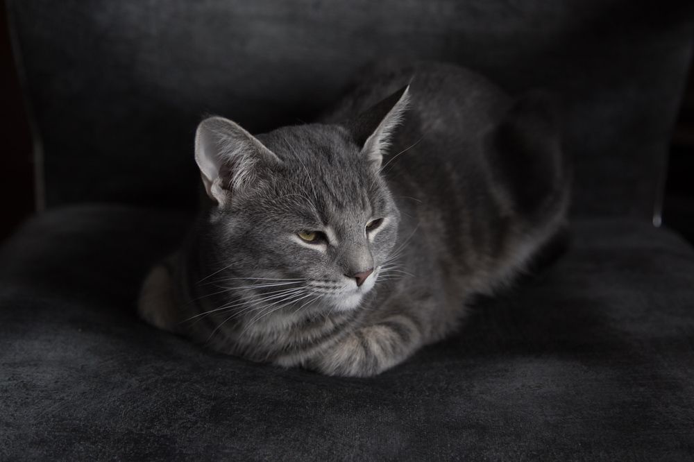 Photograph by Сергей Алексеев