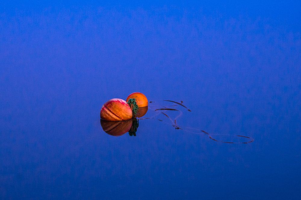 Photograph by Sidsel Tonnessen