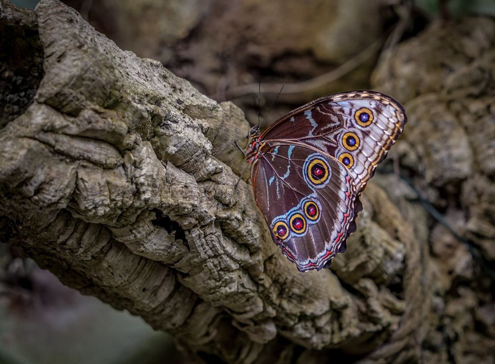 Photograph by Sidsel Tonnessen