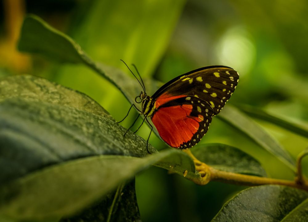 Photograph by Sidsel Tonnessen