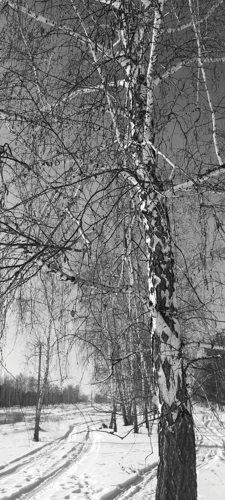 Фотография автора Анастасия Большакова