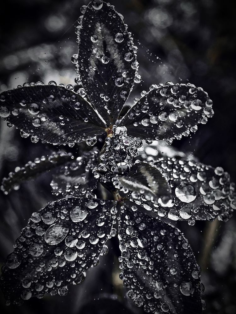 Photograph by Алексей Климов