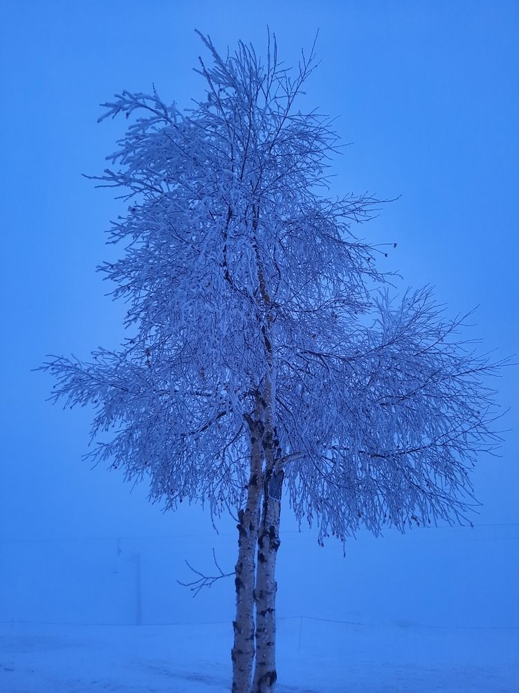 Photograph by Елена Валерьевна