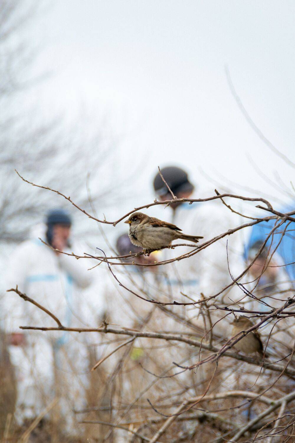 Photo #11881836