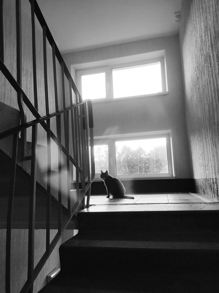 Фотография автора Мария Александрова