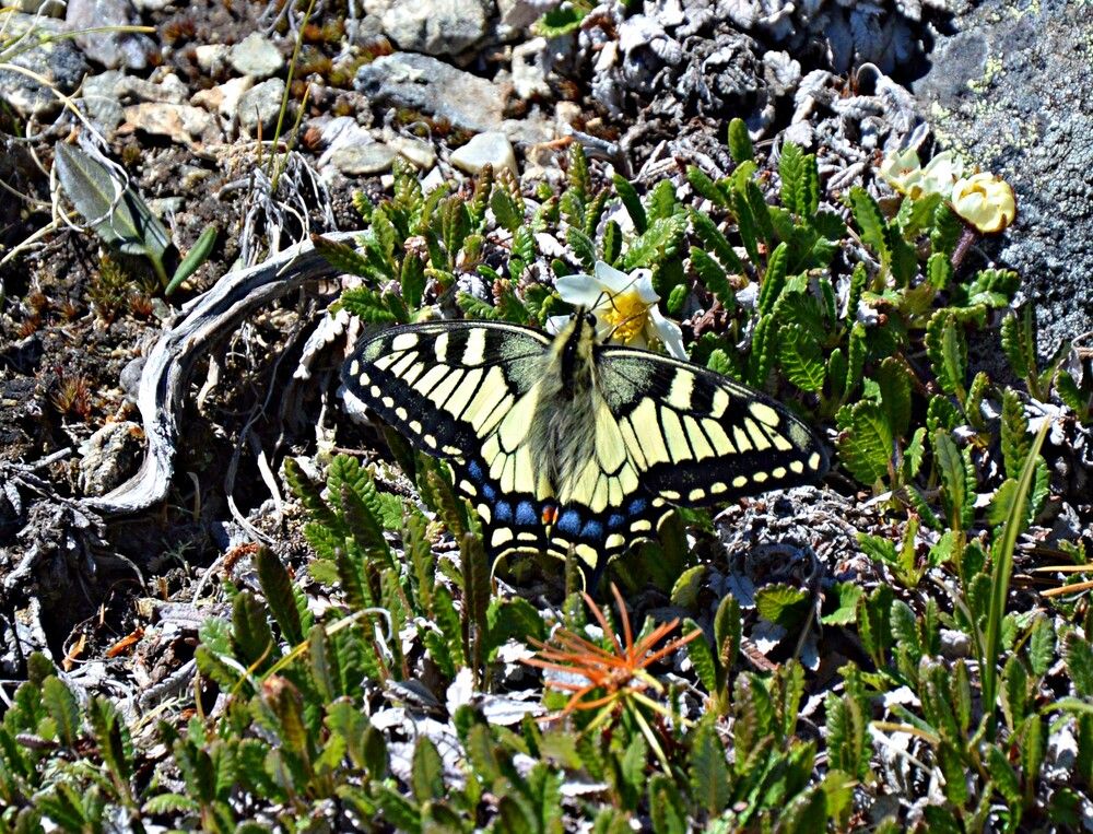 Photograph by Елена Савчук