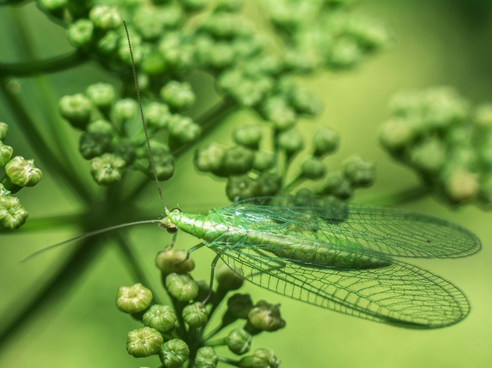 Photograph by Людмила Прибылова