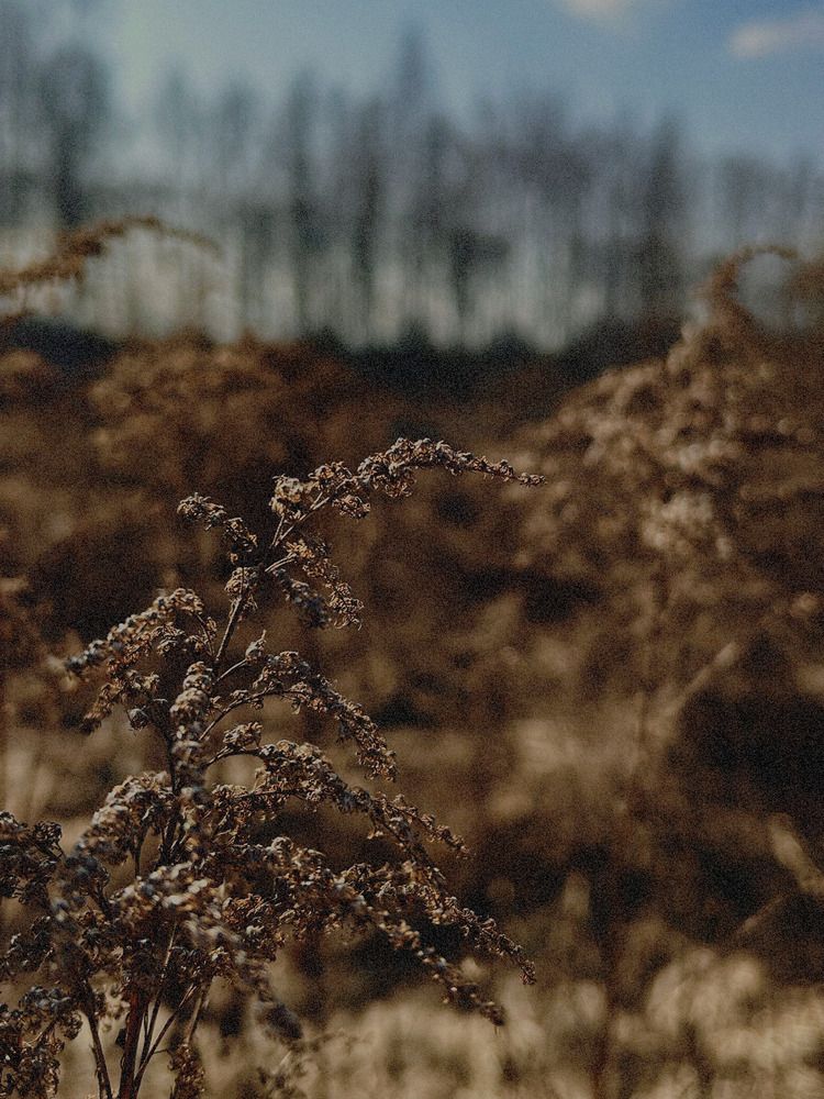Photograph by Вероника Селюн