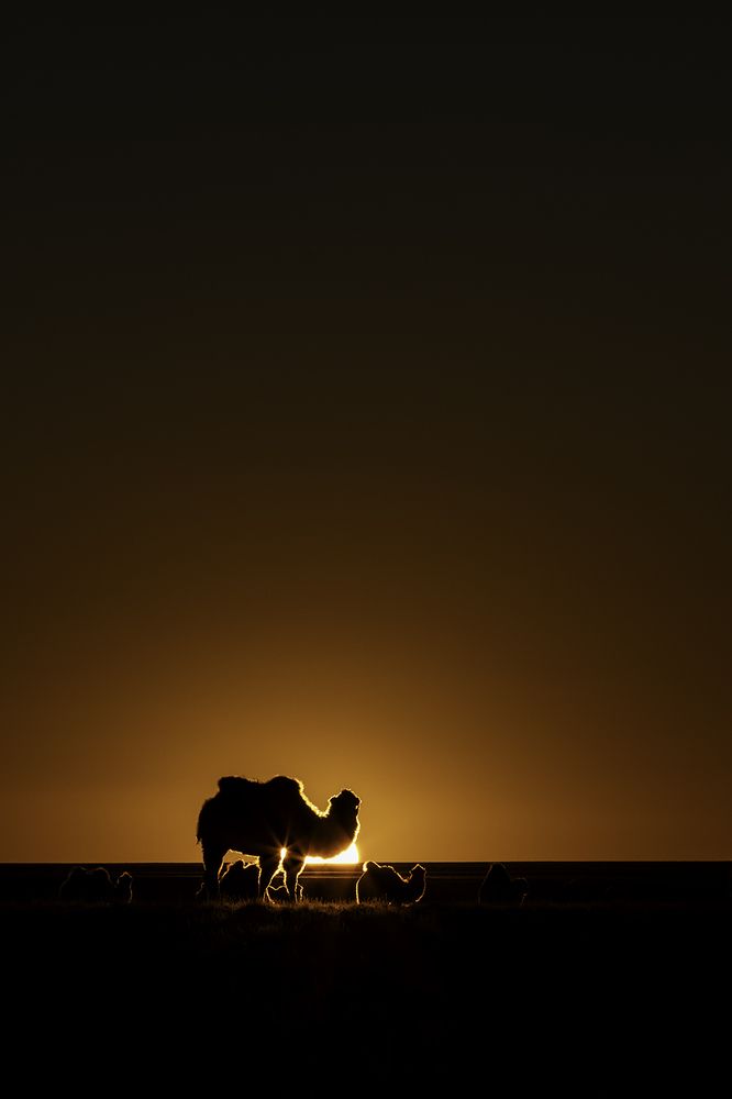 Sunset in Mongolia