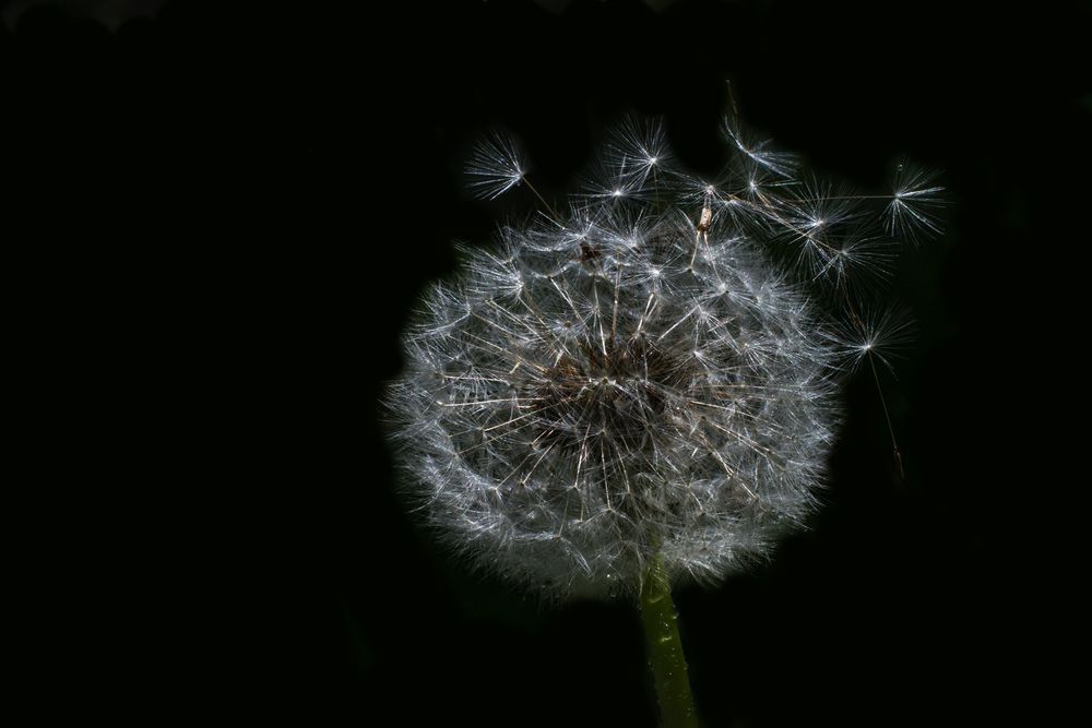 Photograph by Римма Волченко