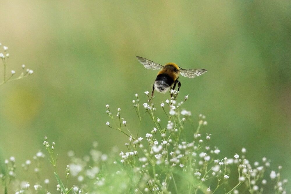 Photograph by jelena konickaja