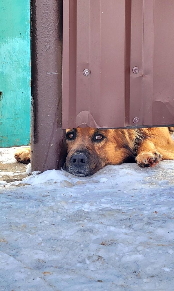 Фотография автора Elena Polonetskaya