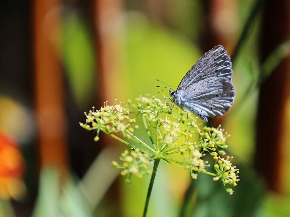 Photograph by Mila Nikolova