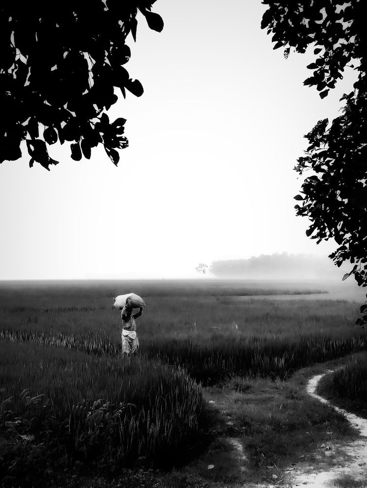 Photograph by Sudeshna Chanda