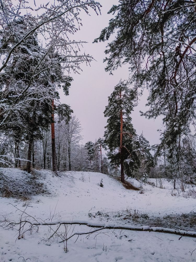 Photograph by Олеся Бронзова