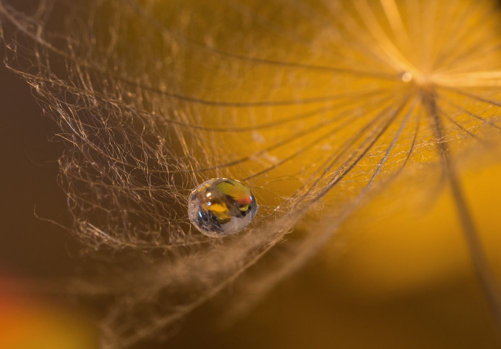 Photograph by Римма Волченко