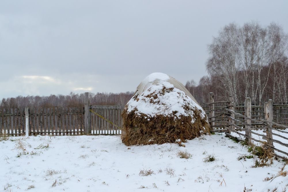 Photograph by Лина Матвеева