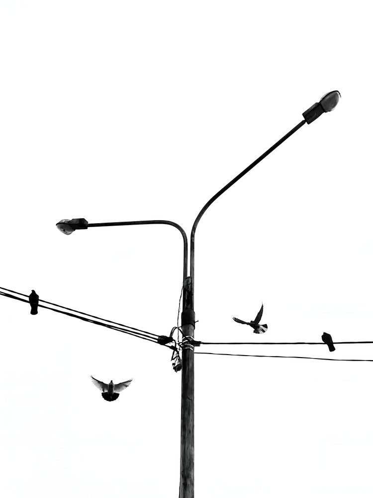 Photograph by Андрей Васильев