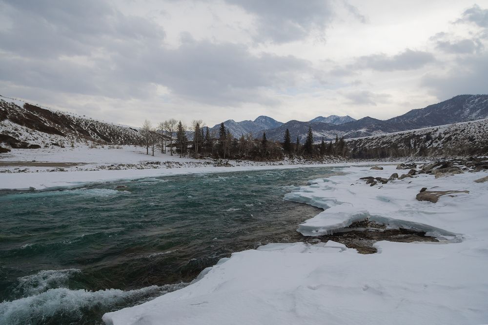 Photograph by Ekaterina Romanova