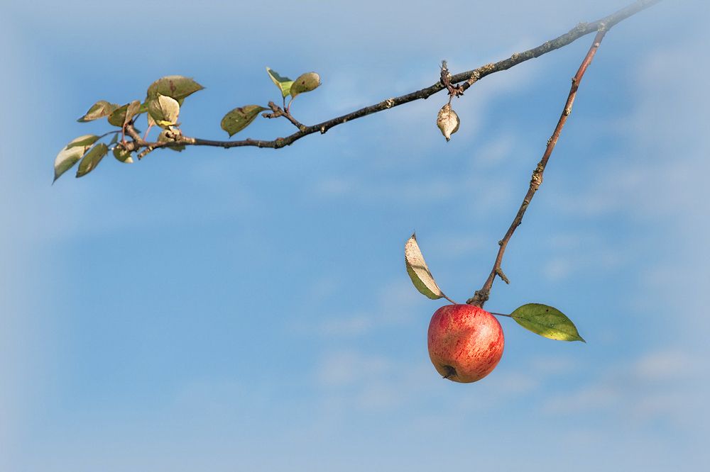 Photograph by Лидия