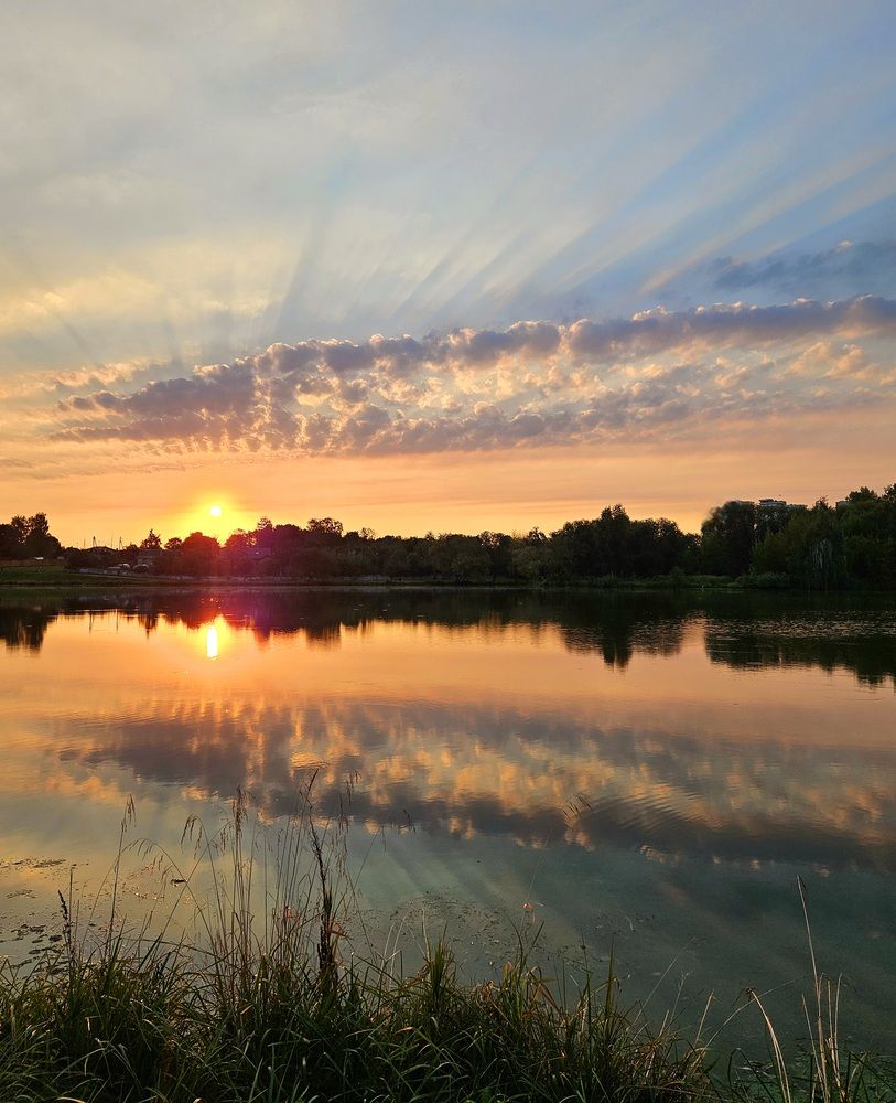 Фотография автора Elena Polonetskaya