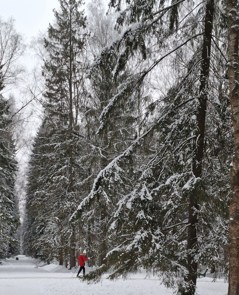 Deep in the forest