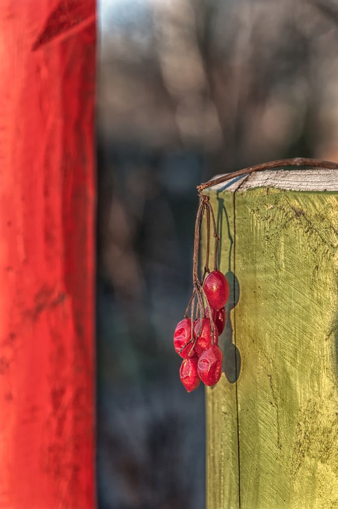 Photograph by Лидия