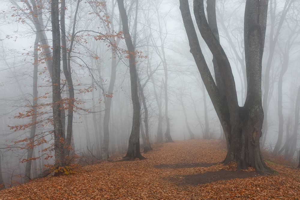 Photograph by Ekaterina Romanova