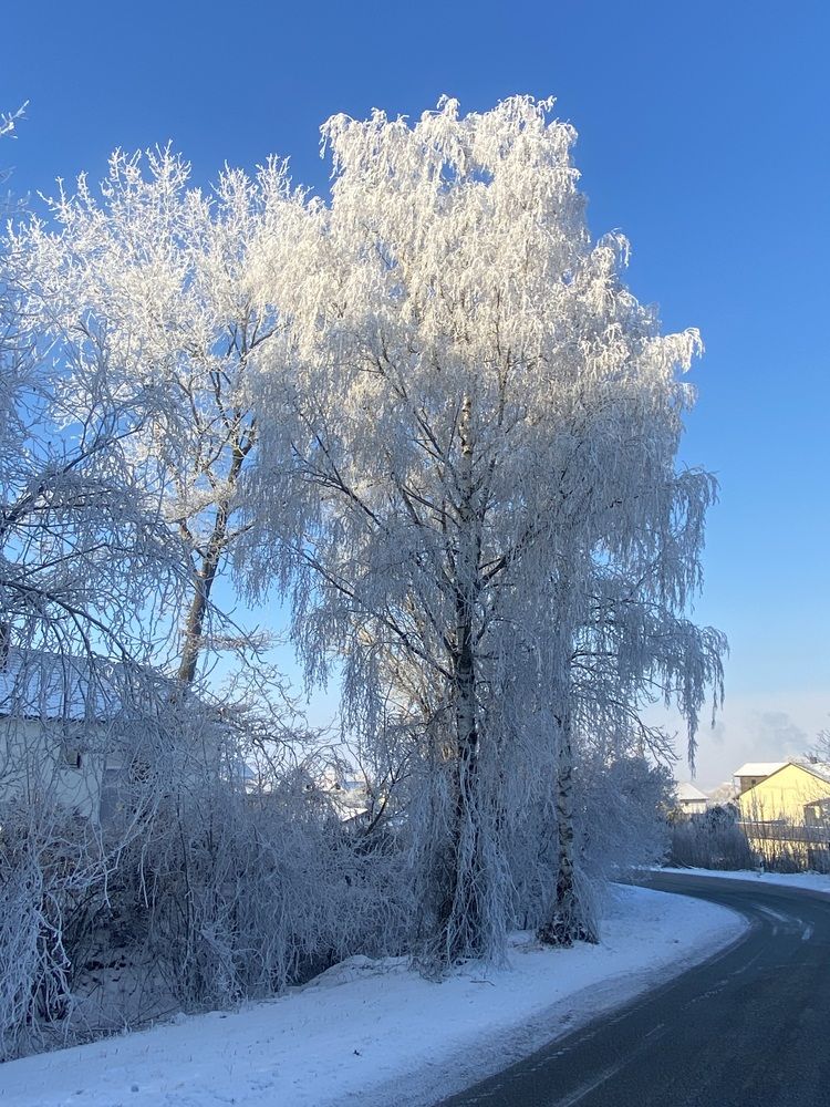 Photograph by Eugenia Schmidt