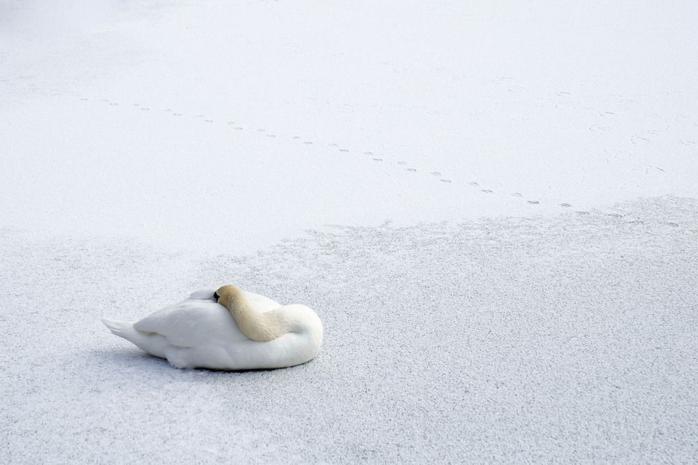 Photograph by Ирина Ксензова