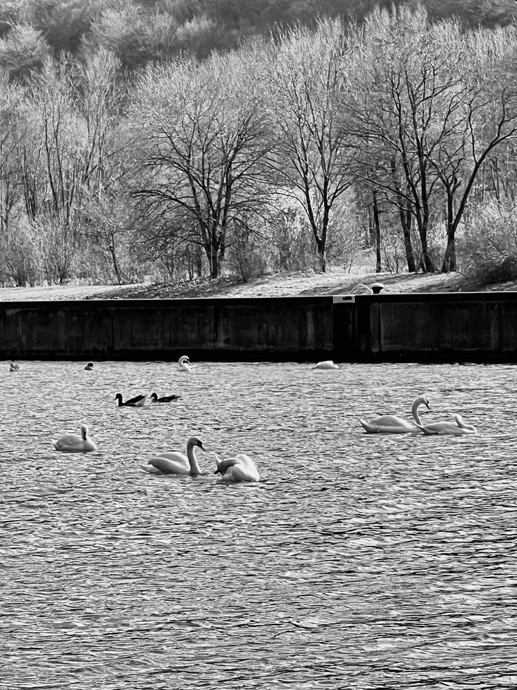 Photograph by Eugenia Schmidt