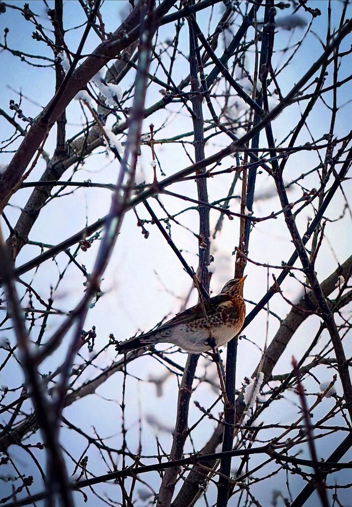 Photograph by Ольга Потачева