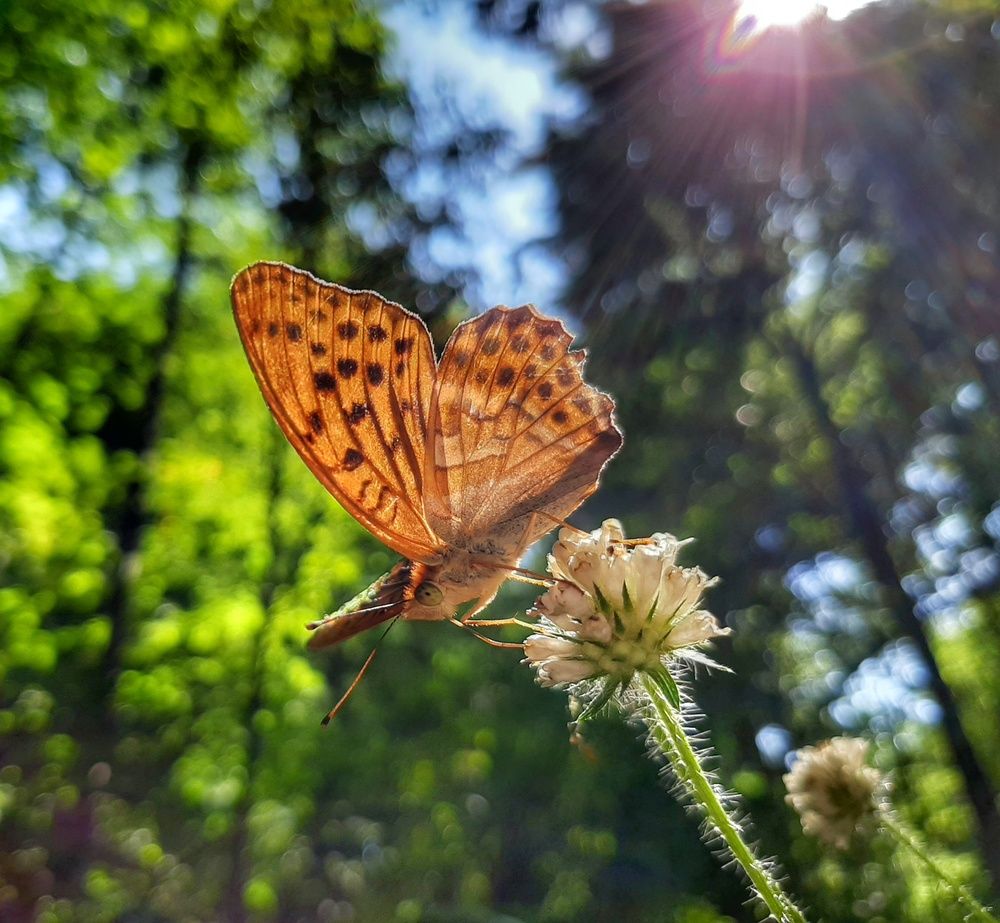 Photograph by Юлия Коробкова