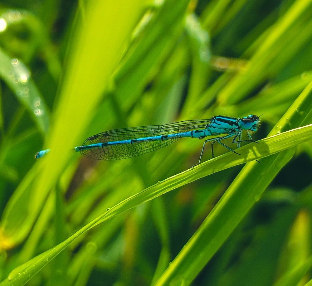 Фотография автора Valerya Vasileva