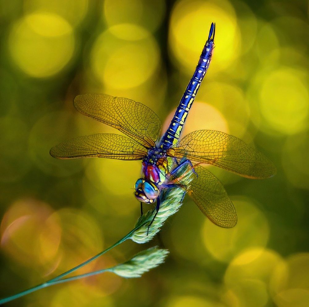 Photograph by Владимир