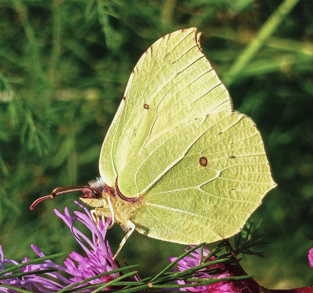 Фотография автора Valerya Vasileva