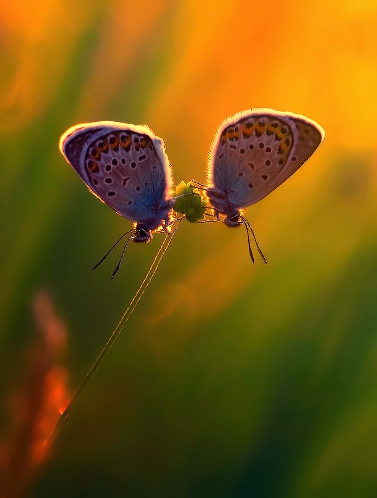 Photograph by Владимир