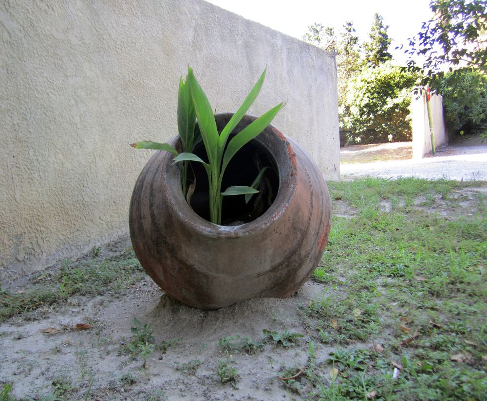 Photograph by Ольга Афанасьева