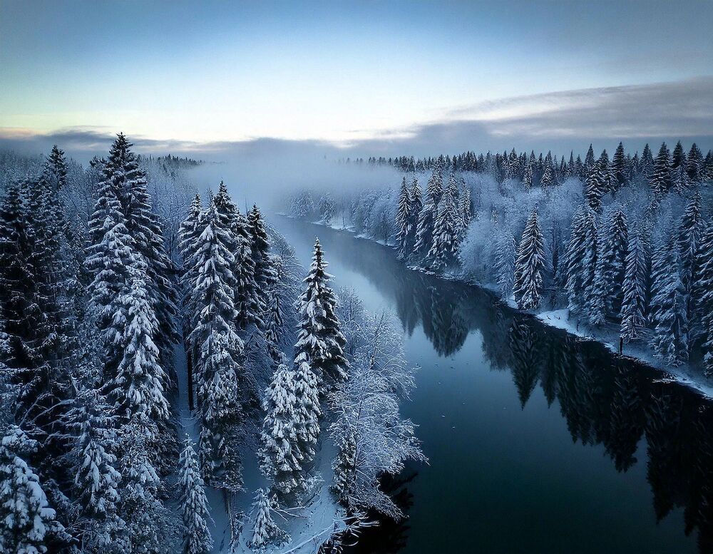 Photograph by Marina Krivitskaya