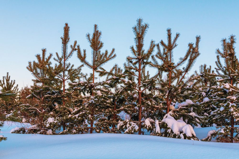 Photograph by Олег Каленин