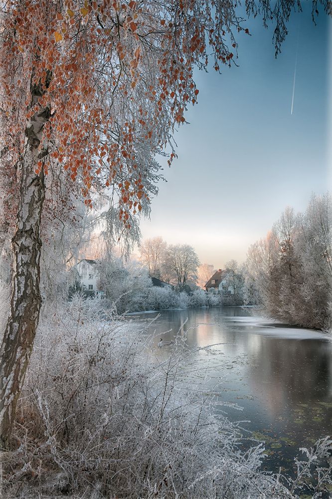 Photograph by Лидия