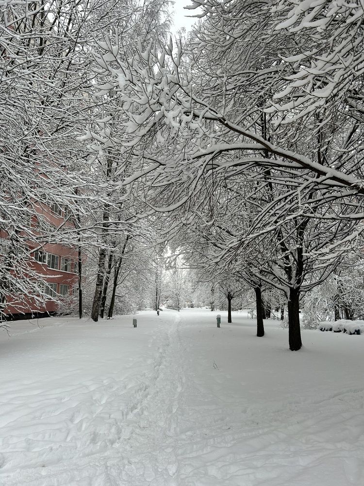 Photograph by Алина Логвиненко