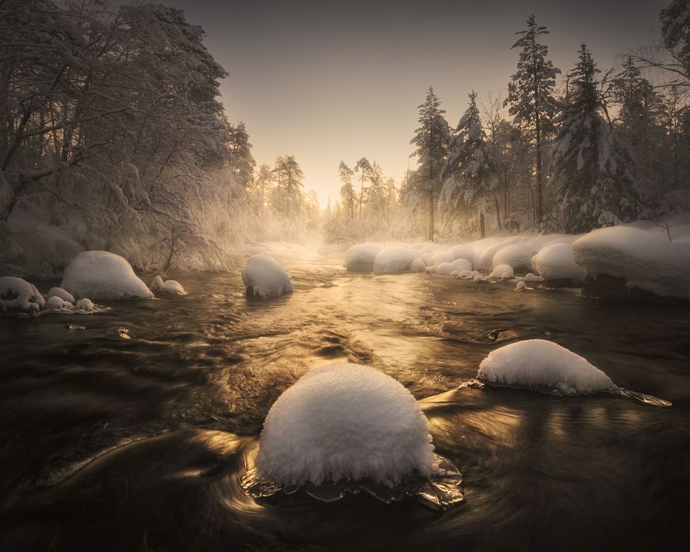 Photograph by Медянцев Дмитрий