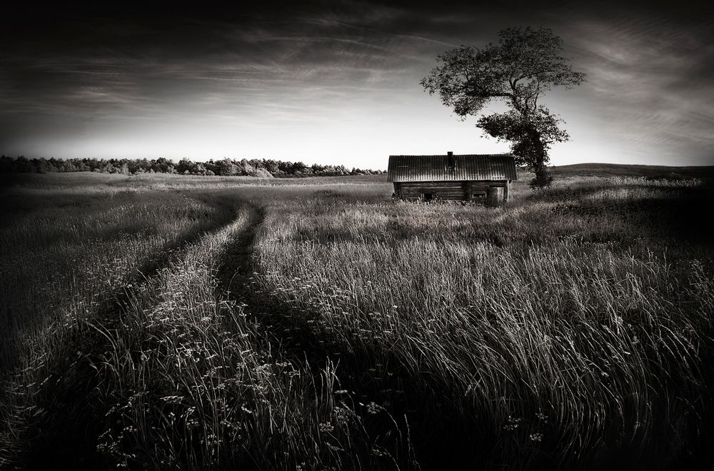 Фотография автора Inga Ivanova