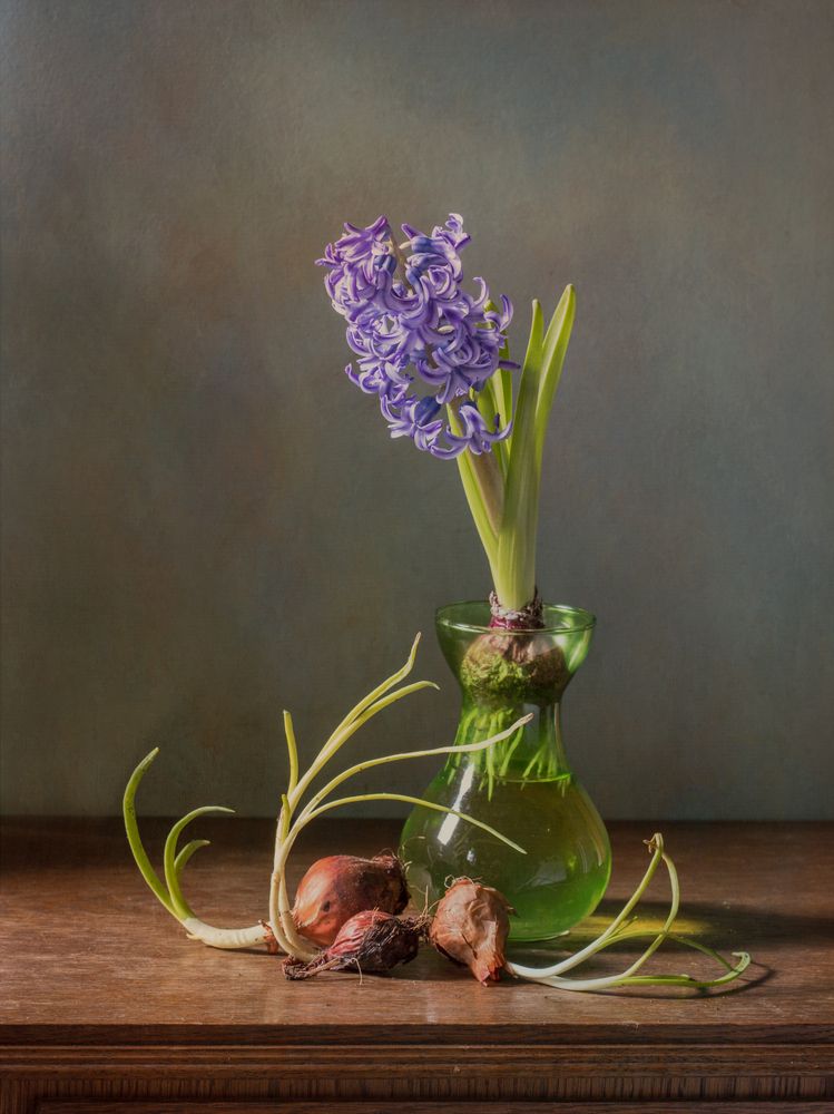 Фотография автора Uljana Kuchar