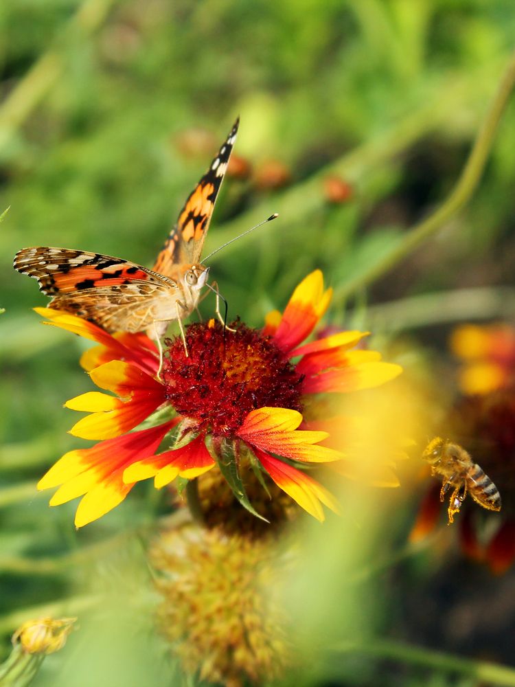 Photograph by Ольга Сельницына