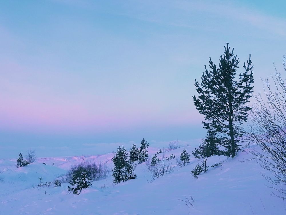 Photograph by Татьяна Бешенкина