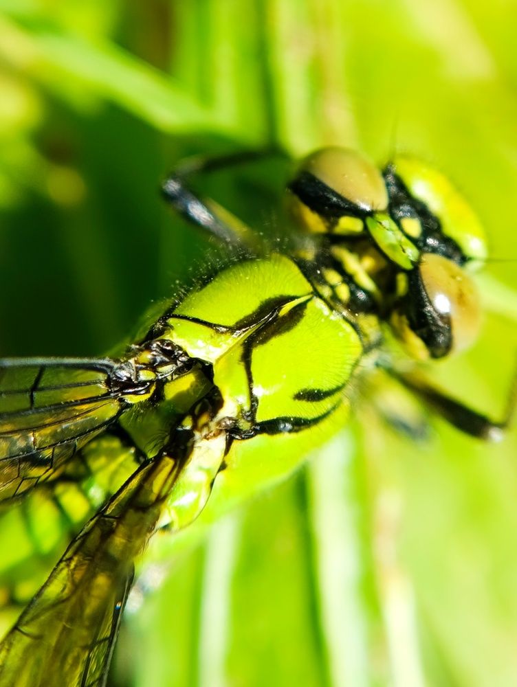 Photograph by Светлана Таркан