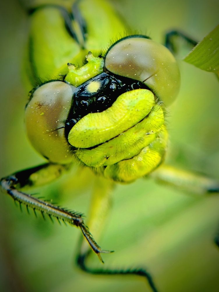 Photograph by Светлана Таркан