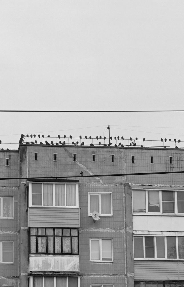 Photograph by Ольга Козлова